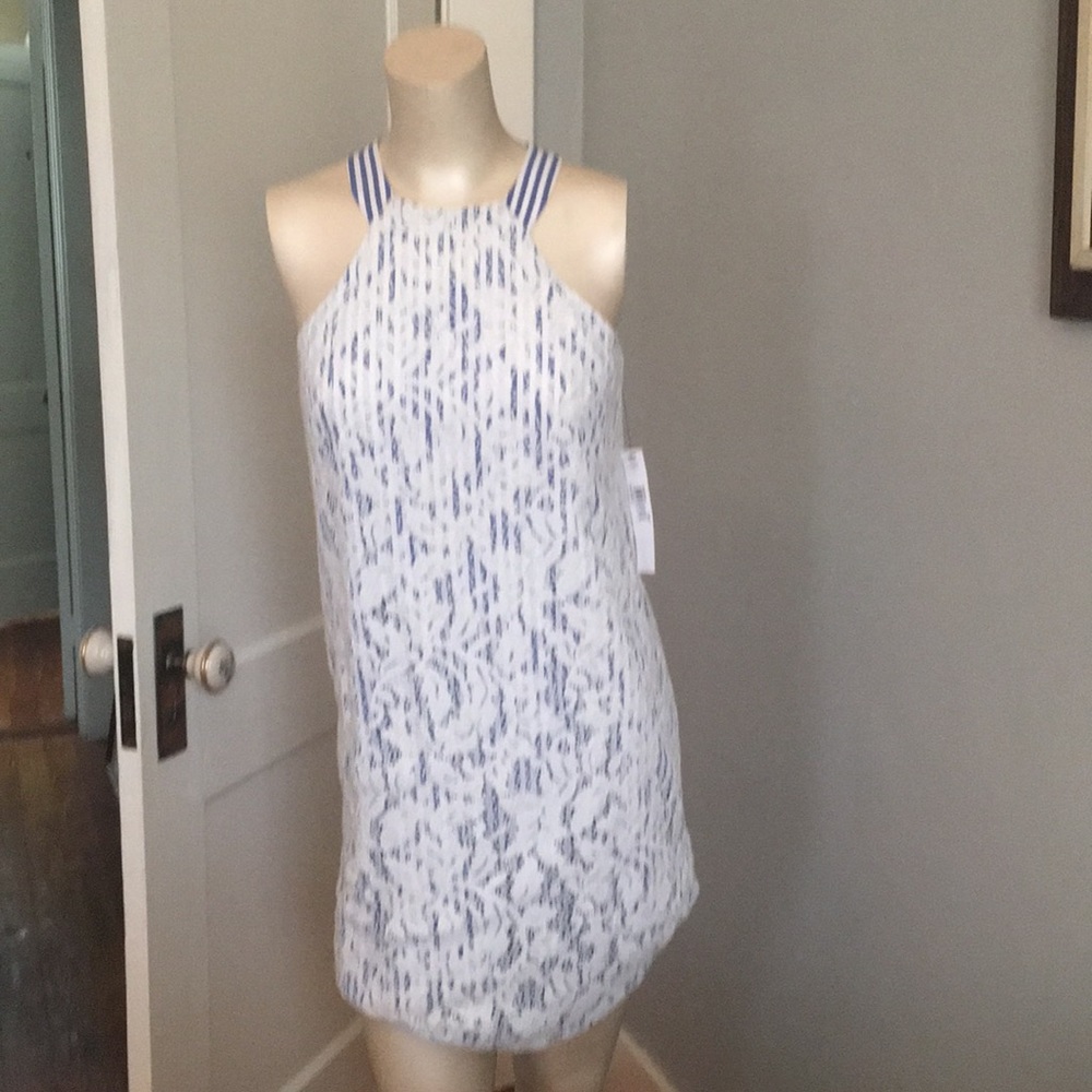 Maggy London striped‎ strap lace dress